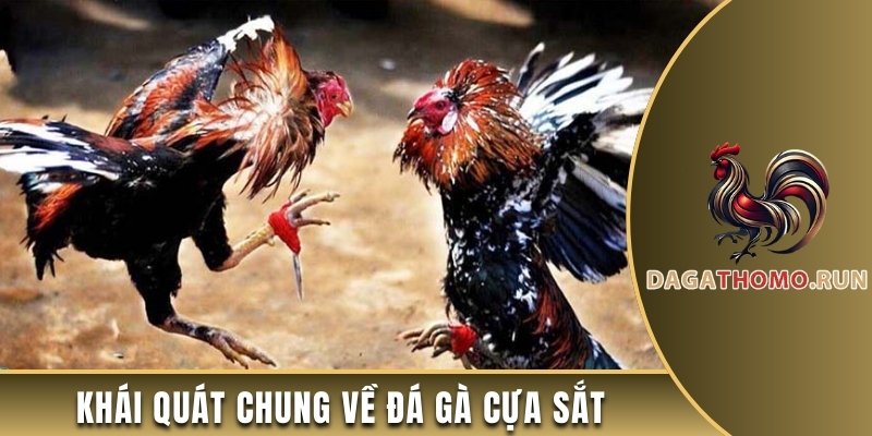 Khái quát chung định nghĩa về đá gà cựa sắt