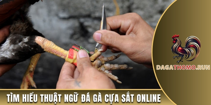 Tìm hiểu thuật ngữ đá gà cựa sắt online